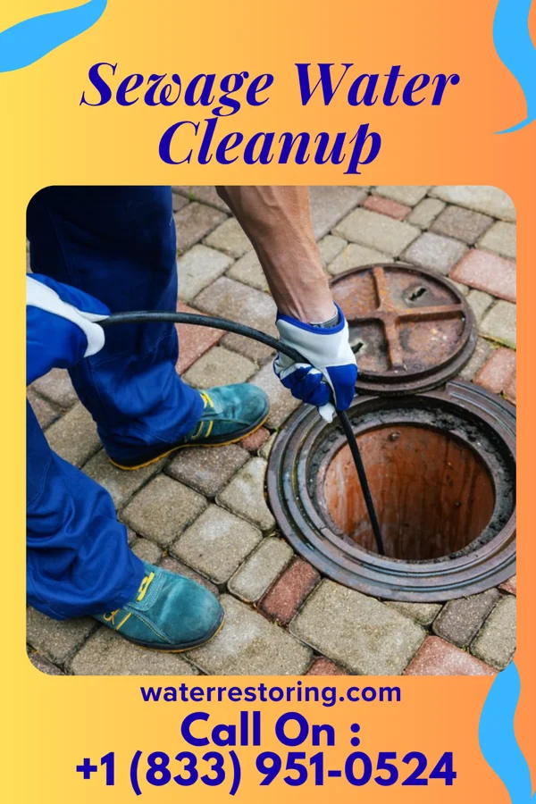 Sewage Water Cleanup in Waverly, IA
