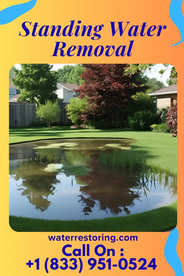 Standing Water Removal in Waverly, IA